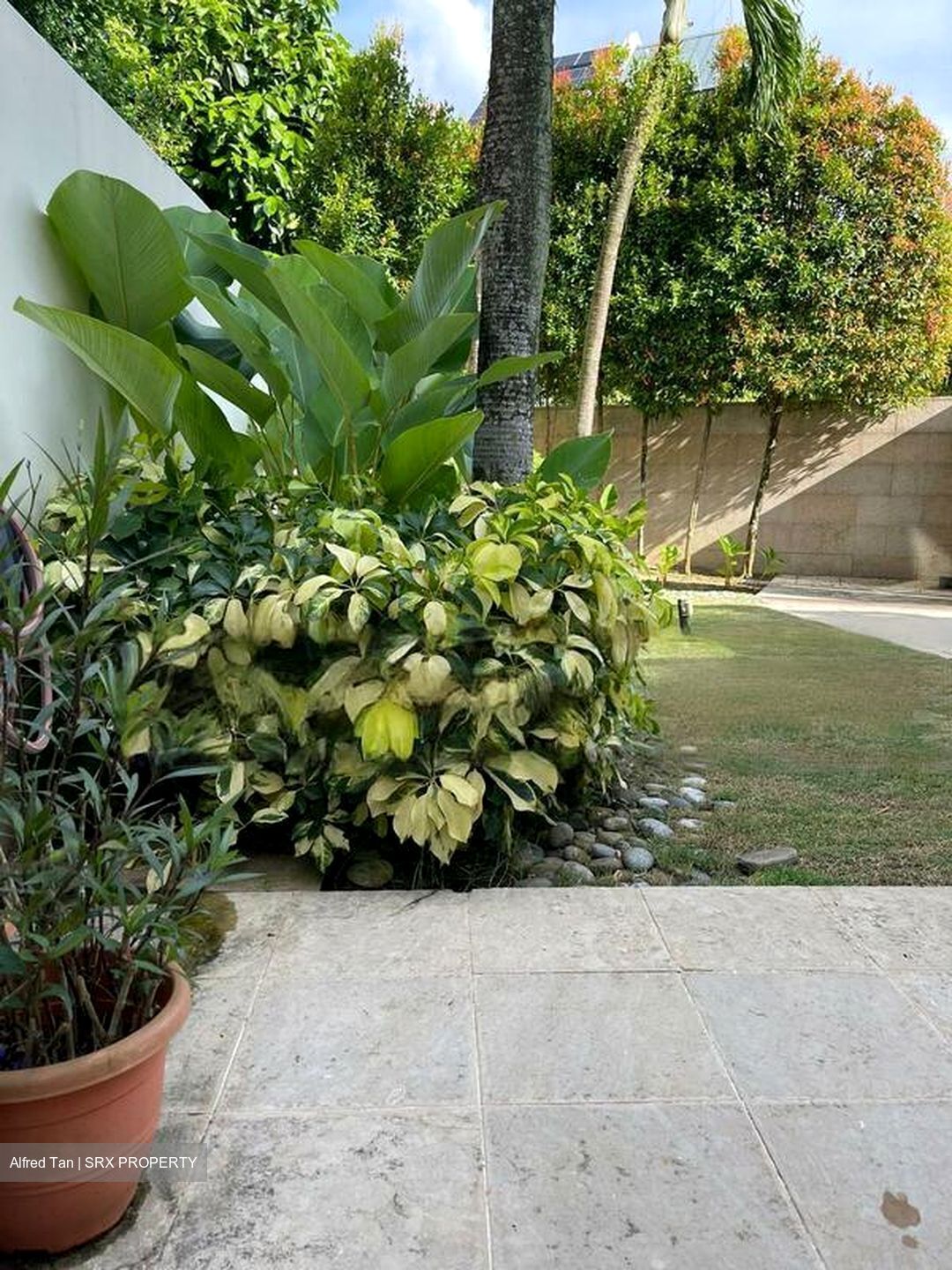 Bukit Timah Road (D10), Detached #447444031